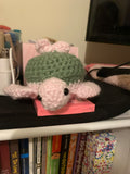 Finish with a bow Turtle